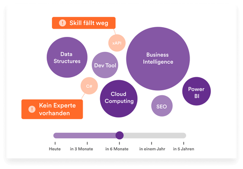 Abbildung der Skills der Organisation im Bubble Chart